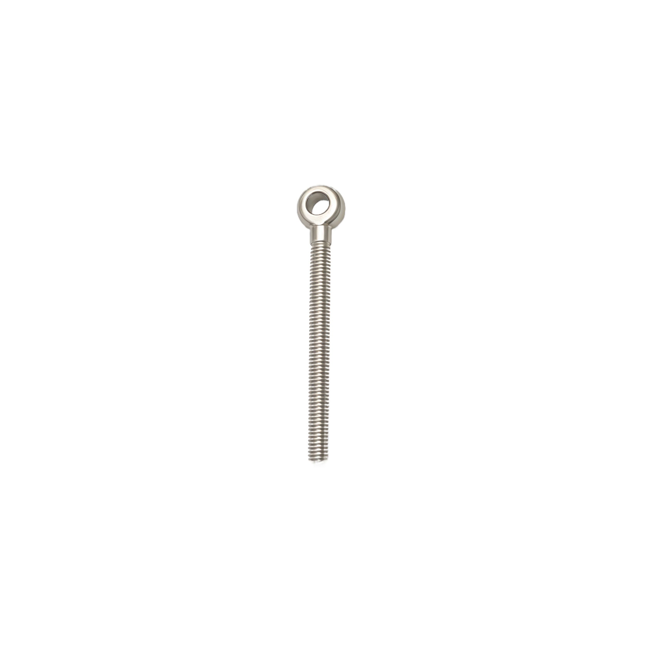 stainless steel Eye bolt